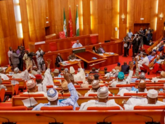 10th NASS: 24 Senators Have No Bill In One Year
