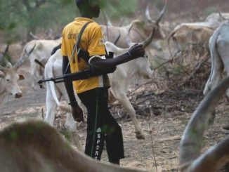 Herders Gangràpě 13-Year-Old Girl In Enugu, Kill Farmer For Trying To Rescue 8 18475044 peterobiexplains jpeg0fd1946673d45d97201a8496994a1918