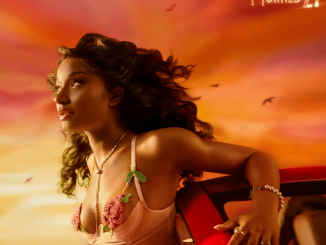 Bad Vibes Lyrics Ayra Starr & Seyi Vibez 37 Birds Sing of Money Lyrics by Ayra Starr