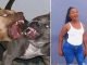 Four Pit Bulls k!ll 28-year-old woman in Bloemfontein