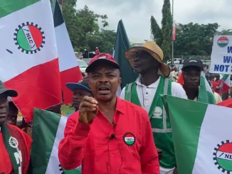 Minimum wage: Why you can’t dictate what to pay, Labour replies govs 29 Minimum wage: Why you can’t dictate what to pay, Labour replies govs