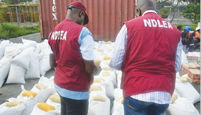 NDLEA Bursts Snake-Guarded Shrine Used For Storing Drugs In Edo