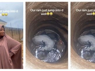 Drama As Sallah Ram Jumps Into Well (Video) 20 sallah ram