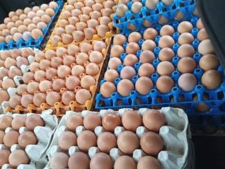 30% Poultry Farms Shut Down In Six Months – PAN 64 18531081 images20240703t133844 017 jpeg jpegd1622c834cc867fce5fd122656e01bee