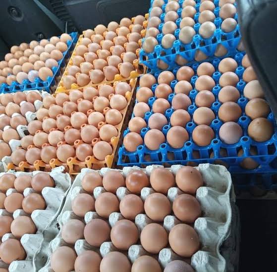 30% Poultry Farms Shut Down In Six Months – PAN