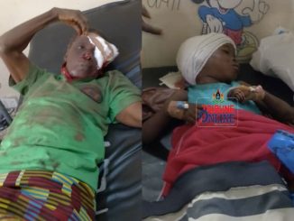 Dog Eats Flesh Off Girl’s Head, Attacks Owner Trying To Protect Victim In Apete Ibadan 9 18550984 img6650 jpeg jpegcb6e428392924bfab53170502ef7a743