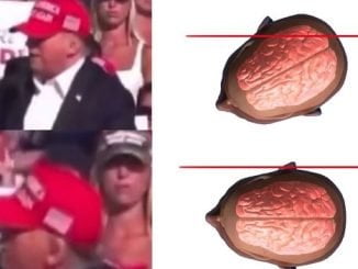 How A Millisecond Head Tilt Saved Donald Trump’s Life (Video) 27 18568024 451014500183548526671110533365044446377456686n jpeg5b165abdc5e3c1595c5f938c888b2023
