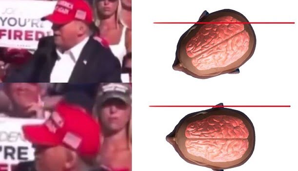 18568024 451014500183548526671110533365044446377456686n jpeg5b165abdc5e3c1595c5f938c888b2023