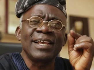 Anti-Government Protest: Threats Won’t Work – Femi Falana Tells FG 15 Anti-Government Protest: Threats Won’t Work – Femi Falana Tells FG