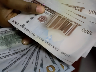 Naira Appreciates To ₦1,530/$ From ₦1,535 In Parallel Market 14 Naira Appreciates To ₦1,530/$ From ₦1,535 In Parallel Market