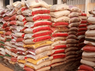 Planned Protest: FG Begins To Sell 50kg Rice At ₦40,000 18 Planned Protest: FG Begins To Sell 50kg Rice At ₦40,000