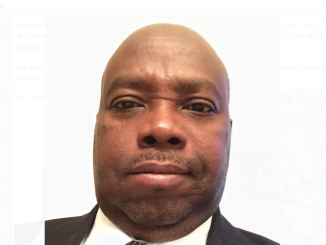 Why I’m Investing $100m In Auto Industry – Ashogbon, US-Based Nigerian 24 Why I’m Investing $100m In Auto Industry – Ashogbon, US-Based Nigerian
