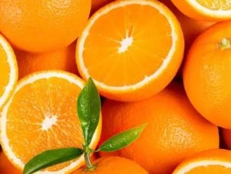 5 fruits that improve bone health 26 5 fruits that improve bone health
