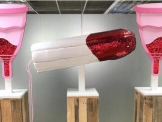 What to know about the world’s first v*gina museum 6 Auto Draft