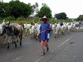One Dies, Business Grounded As Ogun Hunters, Herders Clash 13 Auto Draft