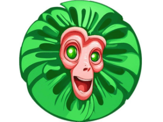 Baboon Daily Combo 1 September 2024 31 Baboon Daily Combo 1 September 2024
