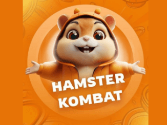 Hamster Kombat Daily Combo Today 5 September 2024 13 Hamster Kombat Daily Combo 1 September 2024
