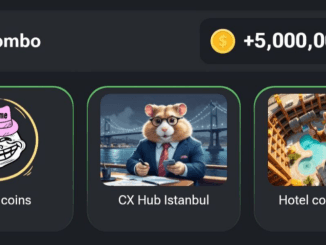 Hamster Kombat Daily Combo 3 September 2024 46 Hamster Kombat Daily Combo 3 September 2024