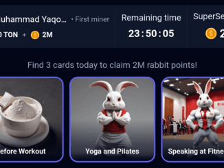 Rocky Rabbit Daily Combo 5 September 2024 38 Rocky Rabbit Daily Combo 5 September 2024
