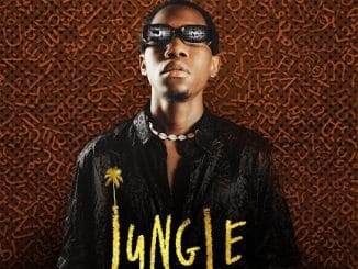 NaijaChoice News 8