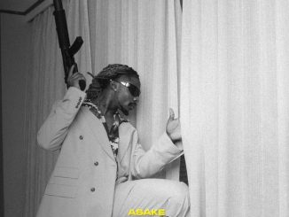 Asake – Terminator Lyrics 9 Asake - Terminator