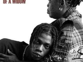 Ayox - Ashewo Boy ft. Tekno 17 Ayox - Ashewo Boy ft. Tekno