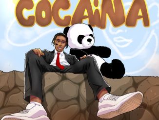 Ayox - COCAINA 12 Ayox - COCAINA