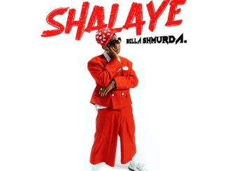 Dangbana Republik – Shalaye ft. Bella Shmurda 6 Dangbana Republik – Shalaye ft. Bella Shmurda