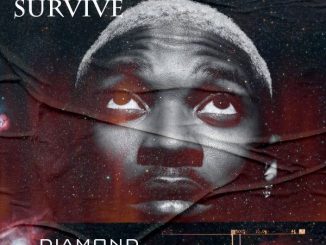Diamond Jimma - I Will Survive 30 Diamond Jimma - I Will Survive