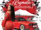 Kaymolic - Party eFedile 2.0 (Afro Version) ft. Afrikan Roots, Rugal MusiQ, DJ Dadaman, K9ne T9ne, Emoji SA, Flair & Pouler DMusic