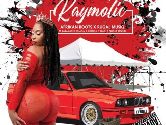 Kaymolic - Party eFedile 2.0 ft. Afrikan Roots, Rugal MusiQ, DJ Dadaman, K9ne T9ne, Emoji SA, Flair & Pouler DMusic