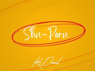 Kizz Daniel - Shu-Peru 26 Kizz Daniel - Shu-Peru
