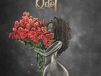 Qdot - BBL 18 Qdot - BBL