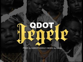 Qdot - Jegele 10 Qdot - Jegele