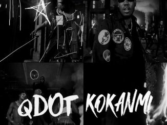 Qdot - Kokanmi 8 Qdot - Kokanmi