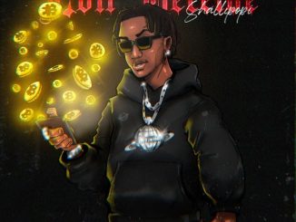 Shallipopi - Evil Receive 3 Shallipopi - Evil Receive