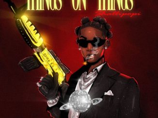 Shallipopi - Things on Things 24 Shallipopi - Things on Things