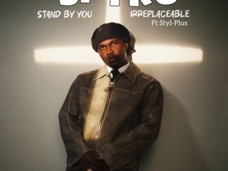 Spyro - Irreplaceable Ft. Styl-Plus 2 Spyro - Irreplaceable Ft. Styl-Plus