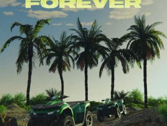 Tion Wayne - Forever ft. Shallipopi 15 Tion Wayne - Forever ft. Shallipopi