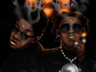 Zerrydl - Puff & Pass (Remix) ft. Shallipopi 9 Zerrydl - Puff & Pass (Remix) ft. Shallipopi