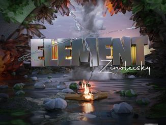 Zinoleesky - Element 33 Zinoleesky - Element