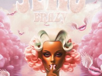 Brazy - JEWO 36 Brazy - JEWO