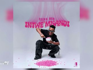 Ceeka RSA - iY' Ndaba Zayizolo ft. LeeMcKrazy, Cowboii & Tyler ICU
