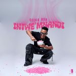 Ceeka RSA - Ngim' sheshisele ft. Tyler ICU, Scotts Maphuma, Khalil Harrison & Jay Sax