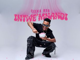 Ceeka RSA - Ngim' sheshisele ft. Tyler ICU, Scotts Maphuma, Khalil Harrison & Jay Sax 3 Ceeka RSA - Ngim' sheshisele ft. Tyler ICU, Scotts Maphuma, Khalil Harrison & Jay Sax