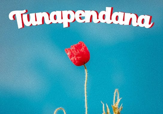 D Voice - Tunapendana 1 D Voice - Tunapendana