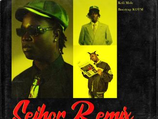 DarkoVibes - Seihor (Remix) ft. Kofi Mole & Beeztrap KOTM 2 DarkoVibes - Seihor (Remix) ft. Kofi Mole & Beeztrap KOTM