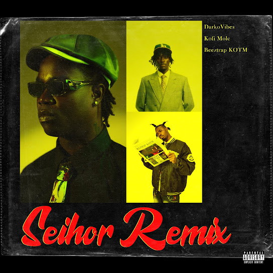 DarkoVibes - Seihor (Remix) ft. Kofi Mole & Beeztrap KOTM