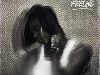 FOLA - who does that? ft. Bella Shmurda 31 FOLA - who does that? ft. Bella Shmurda