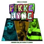 Mega - Pikkewyne [Remix] ft. Chakie, Meneer Cee, Jay Music & Naiidy